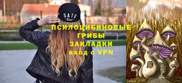 дурь Абинск